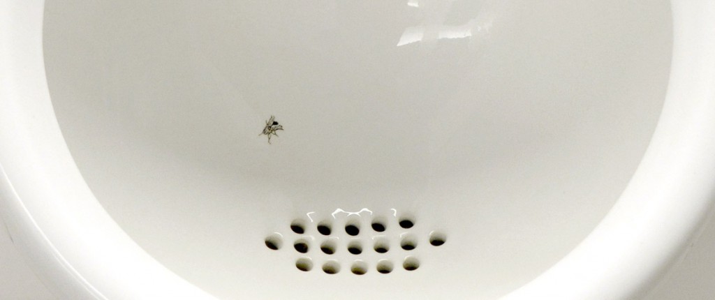 Fly-In-Urinal-Schiphol Airport